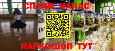 apvp Обь