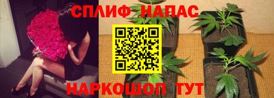 спиды Нягань