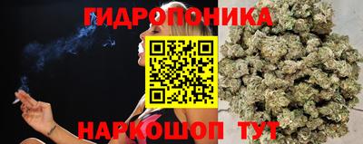 apvp Обь
