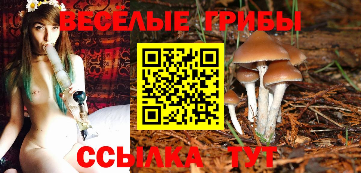 купить закладку  Вход с VPN  Реутов  Псилоцибиновые грибы прущие грибы 